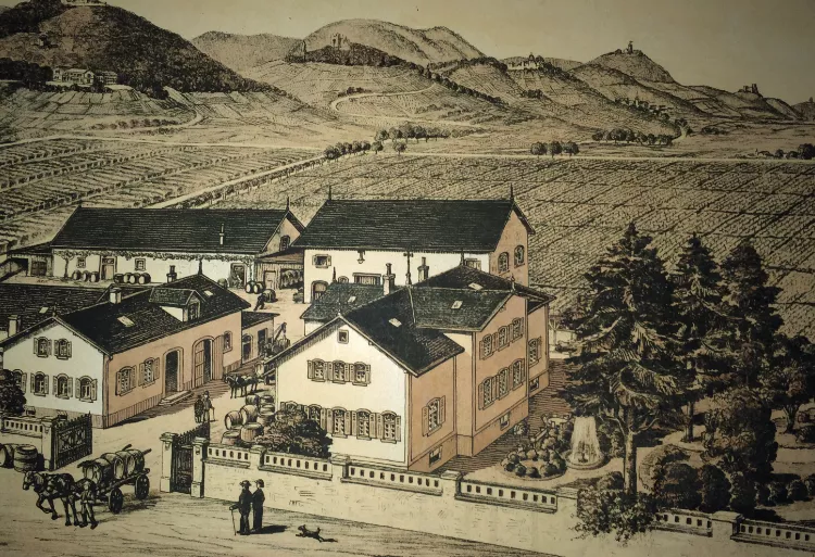 1903